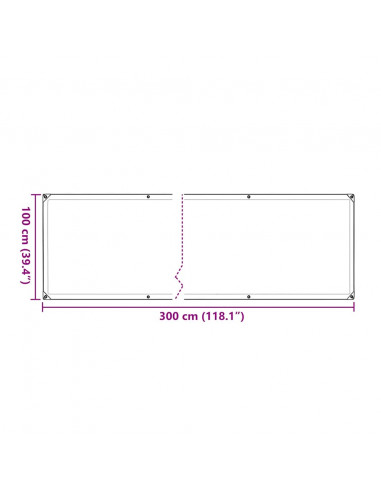Telone Trasparente con Occhielli 1x3 m in Polietilene