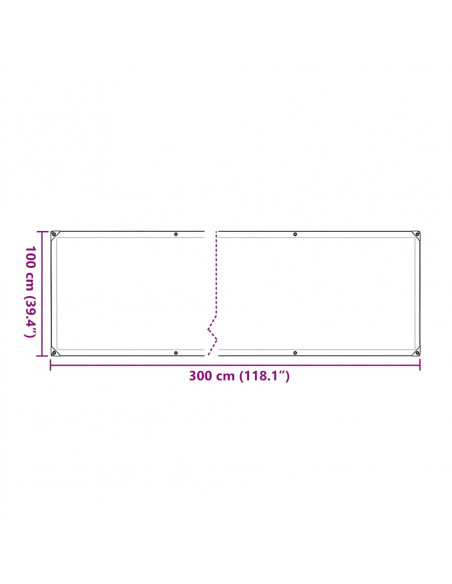 Telone Trasparente con Occhielli 1x3 m in Polietilene