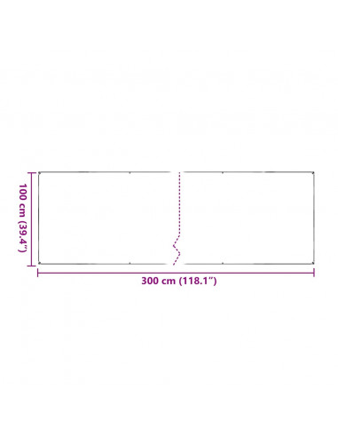 Telone Trasparente con Occhielli 1x3 m in PVC