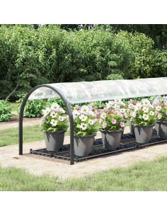 Telone Trasparente con Occhielli 1x5 m in Polietilene 2