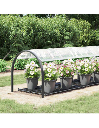 Telone Trasparente con Occhielli 1x5 m in Polietilene