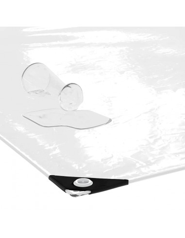 Telone Trasparente con Occhielli 1x5 m in PVC