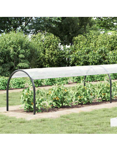 Telone Trasparente con Occhielli 1x8 m in Polietilene