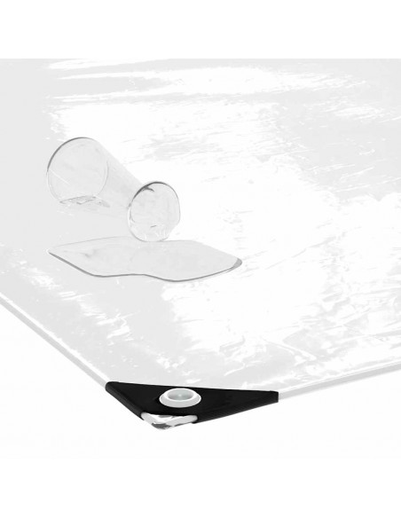 Telone Trasparente con Occhielli 2x10 m in PVC