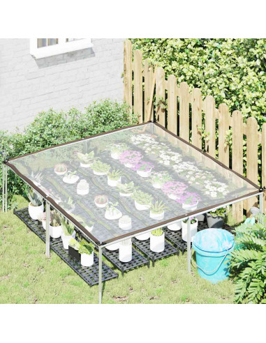 Telone Trasparente con Occhielli 2x2 m in Polietilene