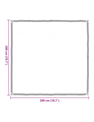 Telone Trasparente con Occhielli 2x2 m in Polietilene