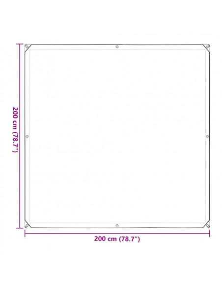 Telone Trasparente con Occhielli 2x2 m in Polietilene