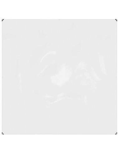 Telone Trasparente con Occhielli 2x2 m in PVC