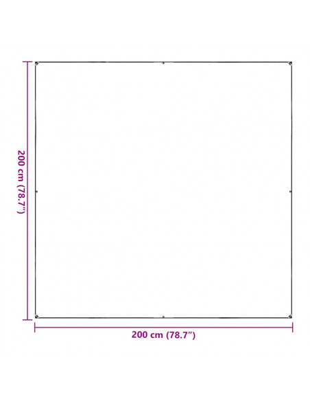 Telone Trasparente con Occhielli 2x2 m in PVC