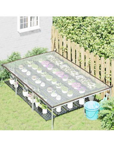 Telone Trasparente con Occhielli 2x3 m in Polietilene