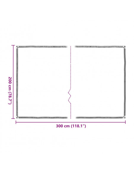 Telone Trasparente con Occhielli 2x3 m in Polietilene