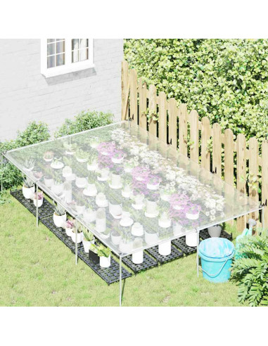 Telone Trasparente con Occhielli 2x3 m in Polietilene