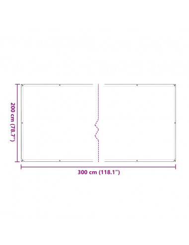 Telone Trasparente con Occhielli 2x3 m in Polietilene