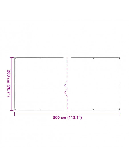 Telone Trasparente con Occhielli 2x3 m in Polietilene