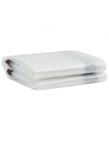 Telone Trasparente con Occhielli 2x5 m in Polietilene