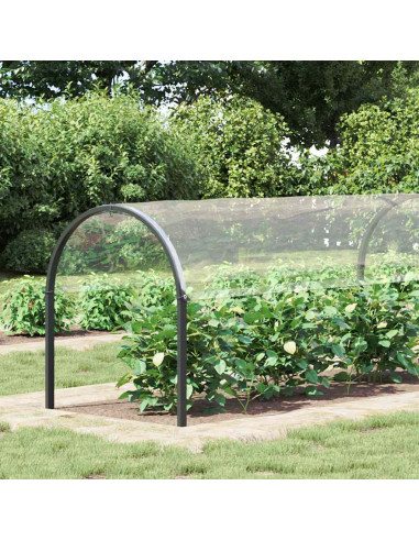 Telone Trasparente con Occhielli 2x8 m in PVC