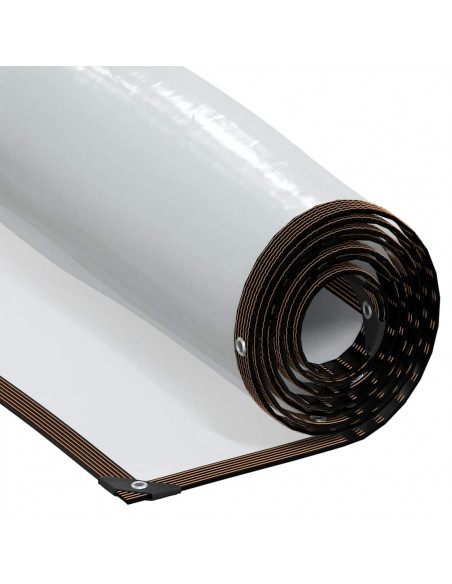 Telone Trasparente con Occhielli 3x3 m in Polietilene