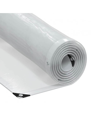 Telone Trasparente con Occhielli 3x3 m in Polietilene