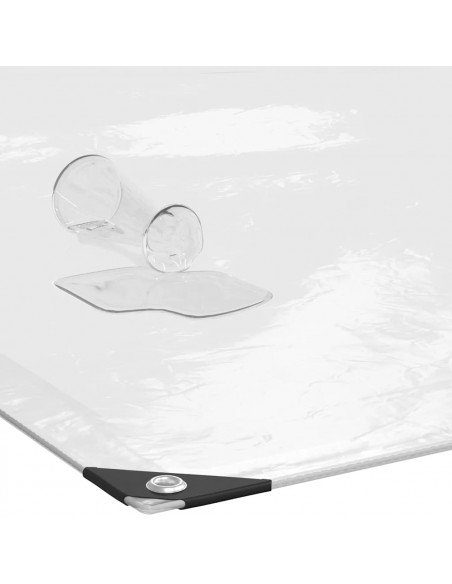 Telone Trasparente con Occhielli 4x10 m in Polietilene