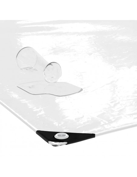 Telone Trasparente con Occhielli 4x12 m in PVC