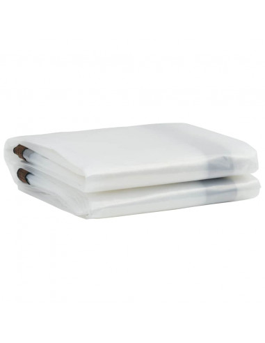 Telone Trasparente con Occhielli 5x6 m in Polietilene