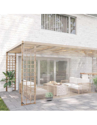 Telone Trasparente con Occhielli 6x10 m in PVC