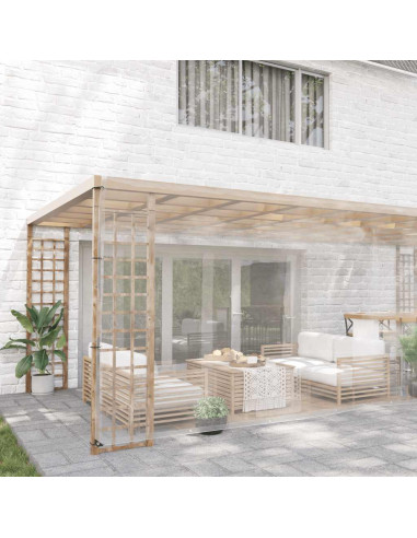 Telone Trasparente con Occhielli 6x8 m in PVC