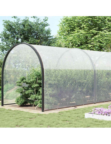 Telone Trasparente con Occhielli 8x12 m in Polietilene