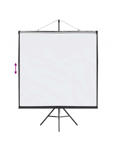 Schermo di Proiezione con Treppiede 67 Pollici 1:1