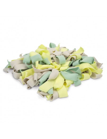 Beeztees Tappetino per Cuccioli SNIFFY