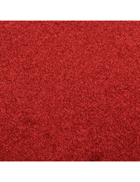 Zerbino Rosso 60x80 cm