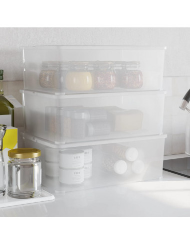 Contenitori in Plastica 3 pz 10 L Impilabili