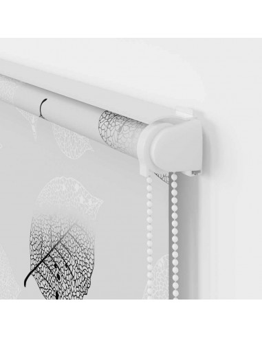 Tenda a Rullo per Doccia Cassonetto 60x240 cm Larghezza Tessuto