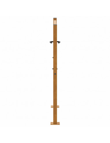 Cancello da Giardino 105x105 cm Acciaio Corten Design a Foglia