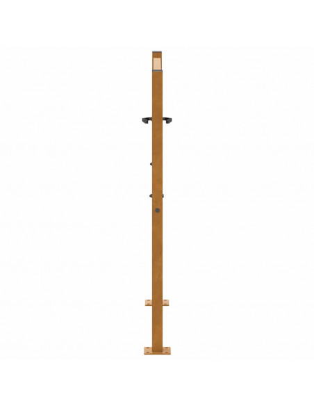 Cancello da Giardino 105x105 cm Acciaio Corten Design a Foglia