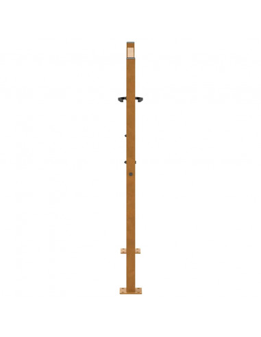 Cancello da giardino 100x100 cm in acciaio corten design leggero