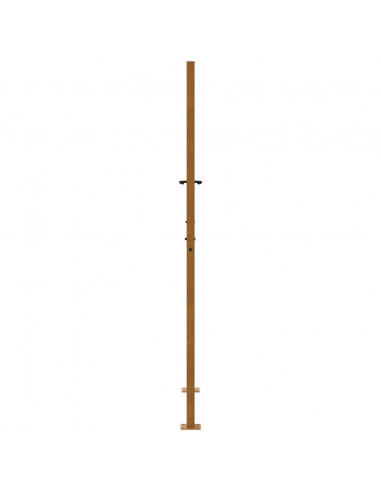 Cancello da Giardino 105x180 cm Acciaio Corten Design a Fiamma