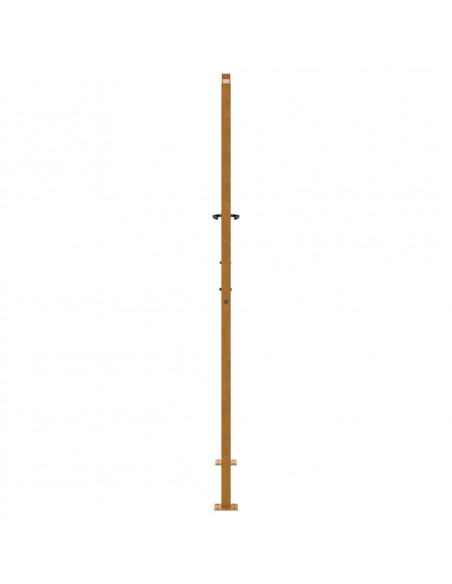 Cancello da Giardino 105x180 cm Acciaio Corten Design a Foglia