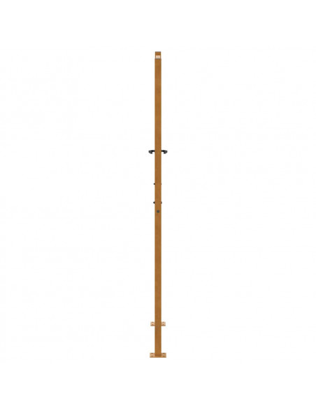 Cancello da Giardino 105x180 cm Acciaio Corten Design Leggero