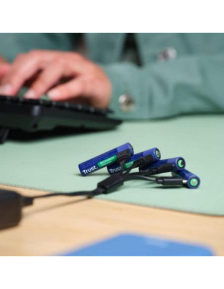 USB-C RECHARGEABLE BATTERIES 4P - A