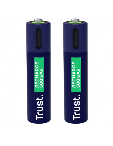 USB-C RECHARGEABLE BATTERIES 2P - A