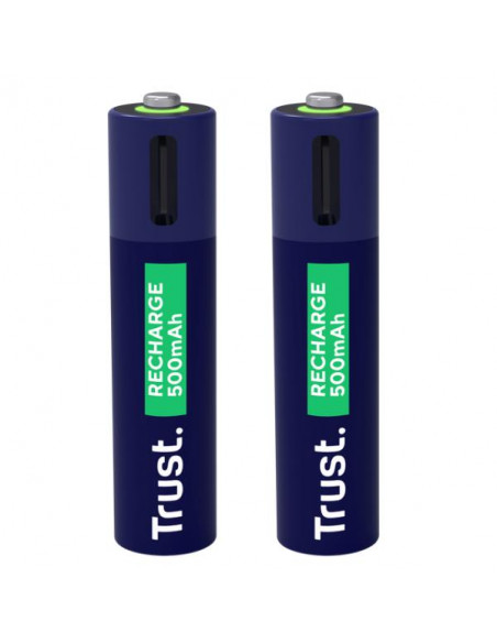 USB-C RECHARGEABLE BATTERIES 2P - A