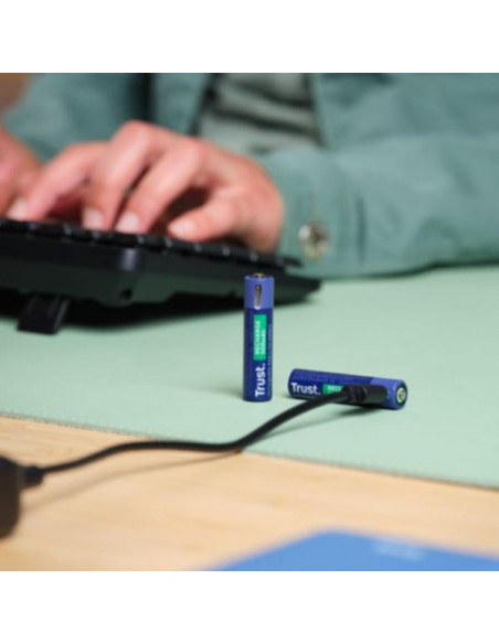USB-C RECHARGEABLE BATTERIES 2P - A