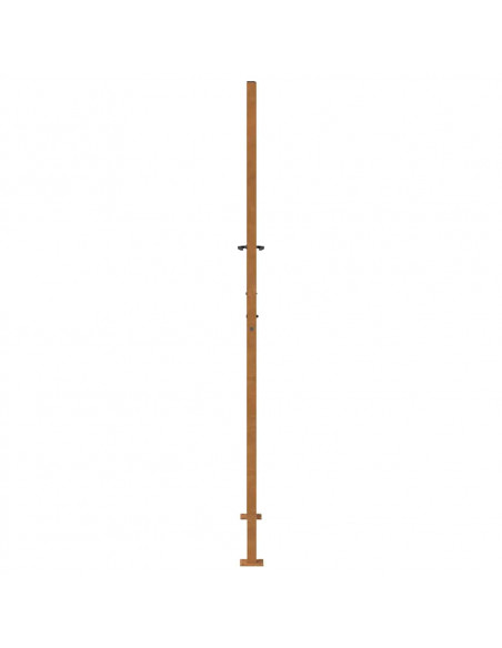 Cancello da Giardino 105x205 cm Acciaio Corten Design Leggero