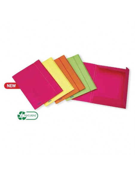 Cartellina porta documenti Favorit 400066846 Neon Assortito