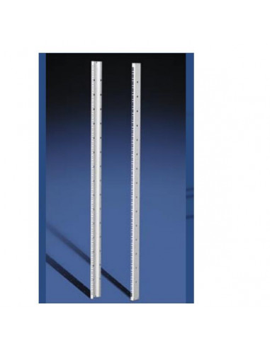 COPPIA DI MONTANTI POSTERIORI