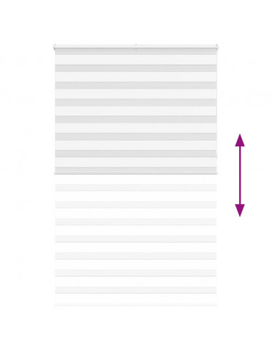 Tenda a Rullo Zebra Larghezza Tessuto 145,9 cm Poliestere