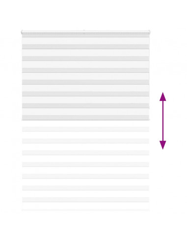 Tenda a Rullo Zebra Larghezza Tessuto 160,9 cm Poliestere