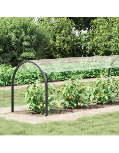 Copertura per Piante con Occhielli 1x10 m in PVC 2