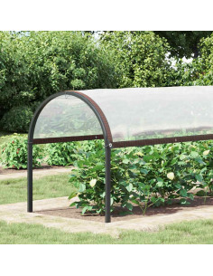 Copertura per Piante con Occhielli 2x10 m in Polietilene 2